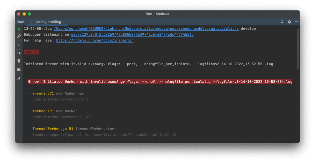 Error: Initiated Worker with invalid execArgv flags when trying to profile a Node process from IntelliJ IDEA